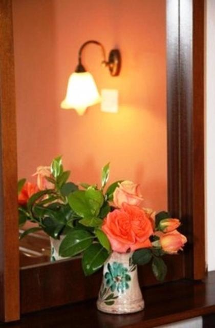 Triantafyllou Maria Rooms Skópelos 客房 照片